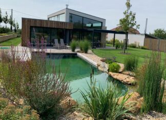 Proč voda v zahradním jezírku zezelenala? Stát se tak mohlo z následujících důvodů